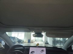Tesla Model 3 Performance All-Wheel Drive - ფოტო 18
