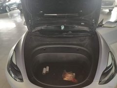 Tesla Model 3 Performance All-Wheel Drive - ფოტო 20