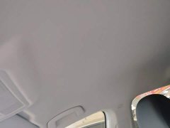 Volkswagen Lavida Facelift 1.5L Automatic Deyi Edition - ფოტო 18