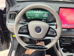 BYD Tang New Energy 2025 DM-i 115KM Premium Edition - ფოტო 11