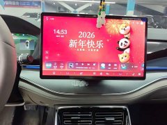 BYD Tang New Energy 2025 DM-i 115KM Premium Edition - ფოტო 13