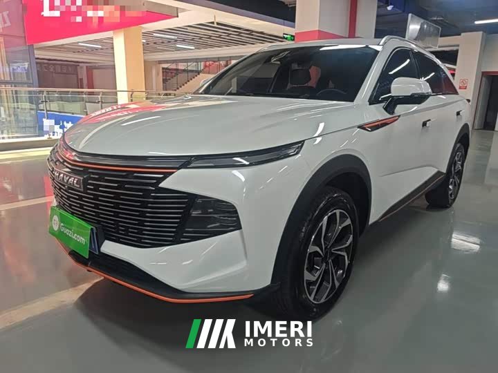 Haval Divine Beast 2022 1.5T Smart Enjoy Edition - ავტომობილი ჩინეთიდან