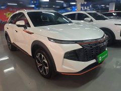 Haval Divine Beast 2022 1.5T Smart Enjoy Edition - ფოტო 4