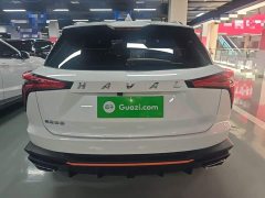 Haval Divine Beast 2022 1.5T Smart Enjoy Edition - ფოტო 6