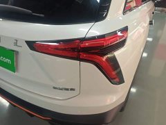 Haval Divine Beast 2022 1.5T Smart Enjoy Edition - ფოტო 8