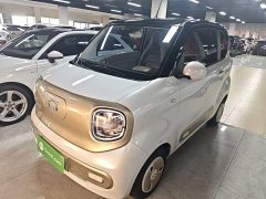 FAW Besturn Xiaoma 222km Dynamic Edition - ფოტო 2