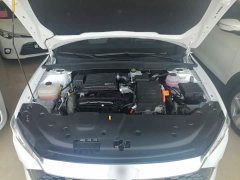 BYD Qin PLUS Glory Edition DM-i 55KM Leading - ფოტო 20