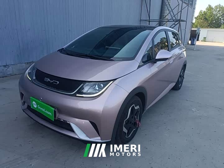 BYD Dolphin 405km Fashion Edition - ავტომობილი ჩინეთიდან