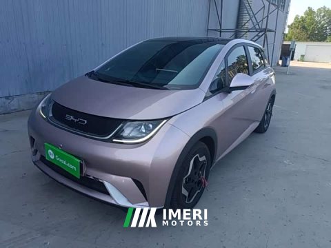 2022 BYD Dolphin 405km Fashion Edition - ავტომობილი ჩინეთიდან