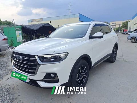 2023 Haval H6 National Trend Edition 1.5T Automatic Urban Version - ავტომობილი ჩინეთიდან