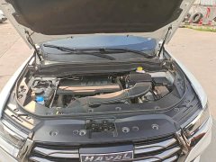 Haval H6 National Trend Edition 1.5T Automatic Urban Version - ფოტო 20