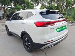 Haval H6 National Trend Edition 1.5T Automatic Urban Version - ფოტო 5