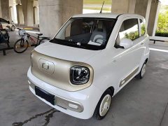 FAW Besturn Xiaoma 222km Dynamic Edition - ფოტო 1