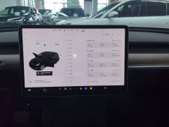 Tesla Model Y 2021 Standard Range RWD - ფოტო 13