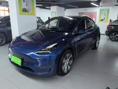 Tesla Model Y 2021 Standard Range RWD - ფოტო 2