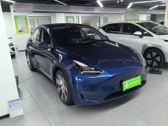 Tesla Model Y 2021 Standard Range RWD - ფოტო 4