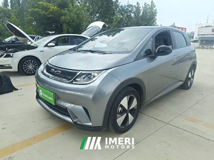 BYD Dolphin 420km Fashion Edition - ავტომობილი ჩინეთიდან