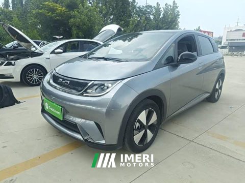2023 BYD Dolphin 420km Fashion Edition - ავტომობილი ჩინეთიდან