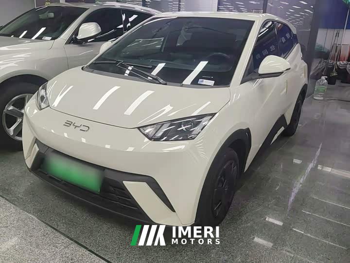 BYD Seagull Glory Edition 305km Vitality Version - ავტომობილი ჩინეთიდან