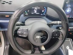 BYD Seagull Glory Edition 305km Vitality Version - ფოტო 11