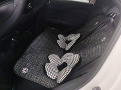 BYD Seagull Glory Edition 305km Vitality Version - ფოტო 17