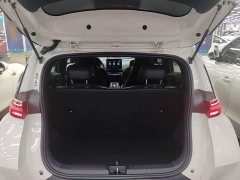 BYD Seagull Glory Edition 305km Vitality Version - ფოტო 19