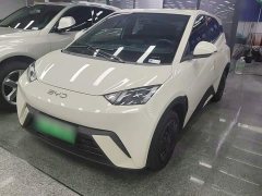 BYD Seagull Glory Edition 305km Vitality Version - ფოტო 2