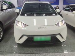BYD Seagull Glory Edition 305km Vitality Version - ფოტო 3