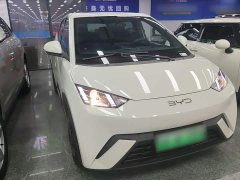 BYD Seagull Glory Edition 305km Vitality Version - ფოტო 4