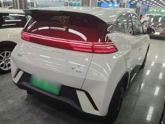 BYD Seagull Glory Edition 305km Vitality Version - ფოტო 7