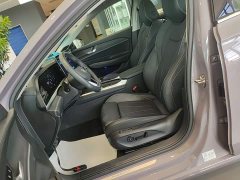 Volkswagen Passat 2025 Pro 380TSI Dragon Premium Edition - ფოტო 15