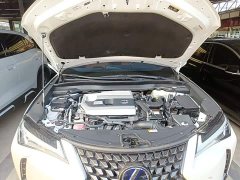 Lexus UX 2020 260h Explorer Fun Edition - ფოტო 20