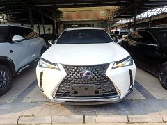 Lexus UX 2020 260h Explorer Fun Edition - ფოტო 3