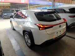 Lexus UX 2020 260h Explorer Fun Edition - ფოტო 5