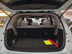 Zeekr Geely Zeekr MIX 2025 Smart Driving Edition - ფოტო 19