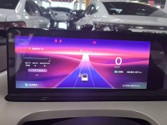 Wuling Binguo 2023 333km Joy Edition - ფოტო 12