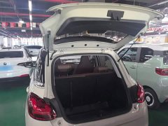 Wuling Binguo 2023 333km Joy Edition - ფოტო 19