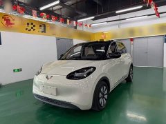 Wuling Binguo 2023 333km Joy Edition - ფოტო 2