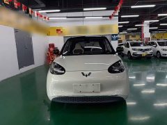 Wuling Binguo 2023 333km Joy Edition - ფოტო 3