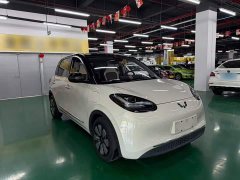 Wuling Binguo 2023 333km Joy Edition - ფოტო 4