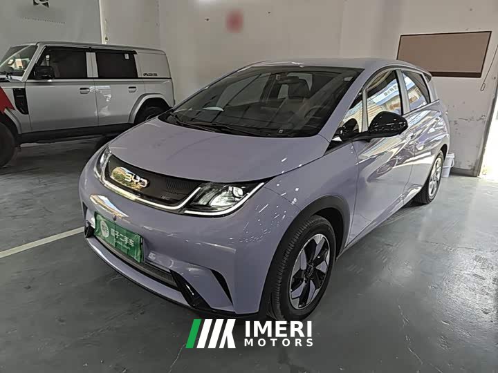 BYD Dolphin Glory Edition 420km Freedom Version - ავტომობილი ჩინეთიდან