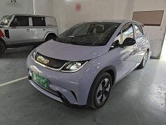 BYD Dolphin Glory Edition 420km Freedom Version - ფოტო 1