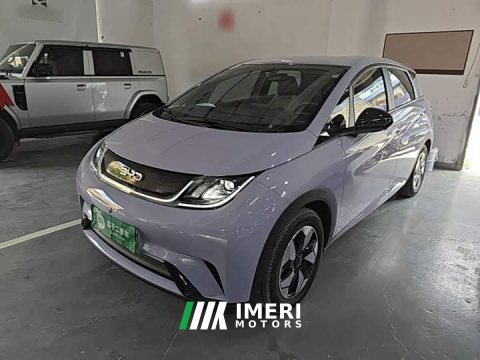 2024 BYD Dolphin Glory Edition 420km Freedom Version - ავტომობილი ჩინეთიდან