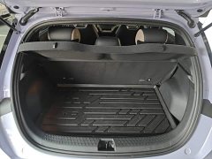 BYD Dolphin Glory Edition 420km Freedom Version - ფოტო 15