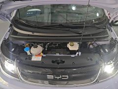 BYD Dolphin Glory Edition 420km Freedom Version - ფოტო 16