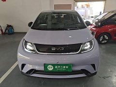 BYD Dolphin Glory Edition 420km Freedom Version - ფოტო 3