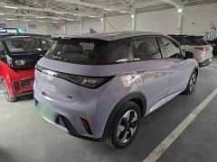 BYD Dolphin Glory Edition 420km Freedom Version - ფოტო 5