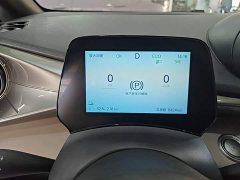 BYD Dolphin Glory Edition 420km Freedom Version - ფოტო 8
