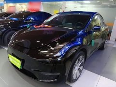 Tesla Model Y Long Range All-Wheel Drive - ფოტო 1