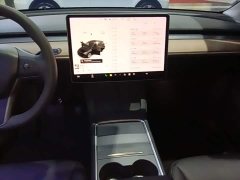 Tesla Model Y Long Range All-Wheel Drive - ფოტო 13
